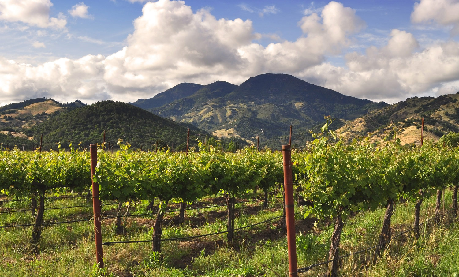 Sosabe Cellars in Napa Valley